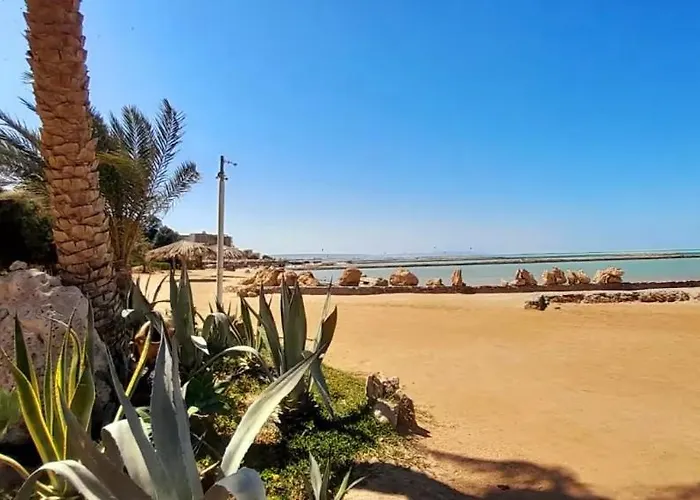 Cozy Seaside 1br B4 In Turtles - Appartement *